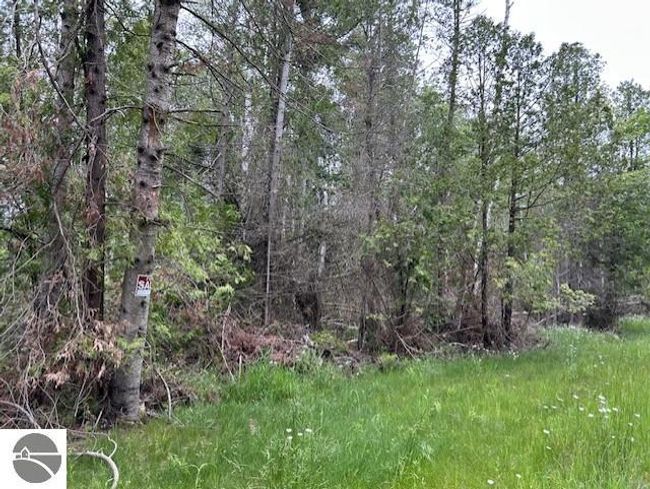 00 Pine Tree Trl, Home with 0 bedrooms, 0 bathrooms and null parking in Oscoda MI | Image 10