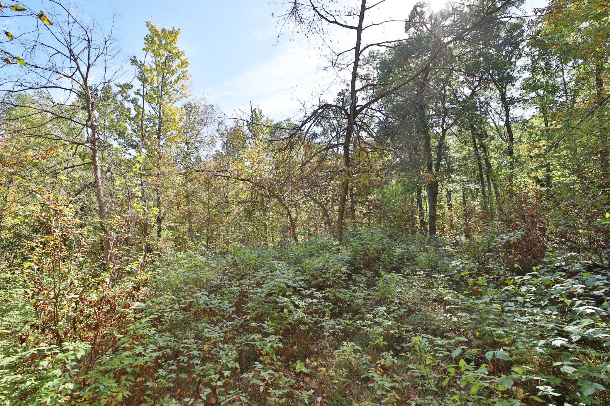 Land in Breezy Point 5