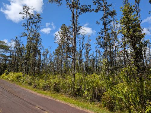 16-1841 Road 5 (Uau), MOUNTAIN VIEW, HI, 96771 | Card Image