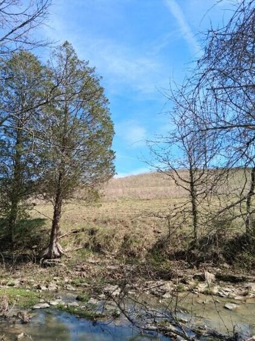 105 Scaffold Lick Creek Rd, Berry, KY, 41003 | Card Image