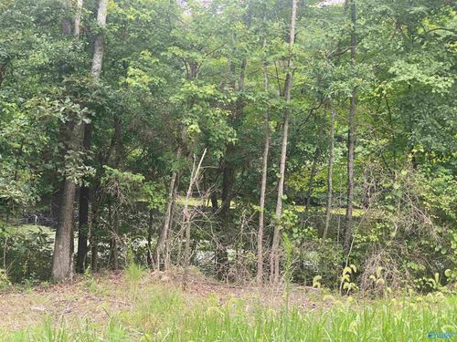 63 ACRES County Road 20, Crossville, AL, 35962 | Card Image