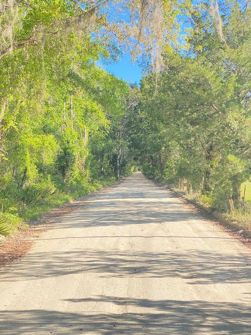 Lot #6 Se 203 Ave, Old Town, FL, 32680 | Card Image