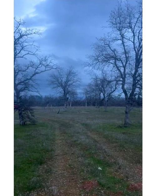  Olinda Rd, Anderson, CA, 96007 | Card Image