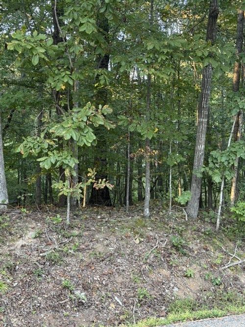 0 Woodland Way, Estill Springs, TN, 37330 | Card Image
