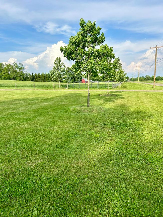 7160 Beecher Rd, House other with 3 bedrooms, 1 bathrooms and null parking in Osseo MI | Image 5