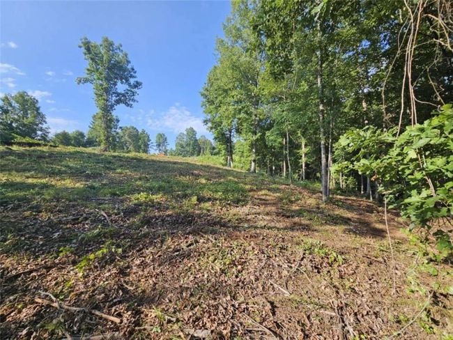 237 Southern Trce, Home with 0 bedrooms, 0 bathrooms and null parking in Toccoa GA | Image 8