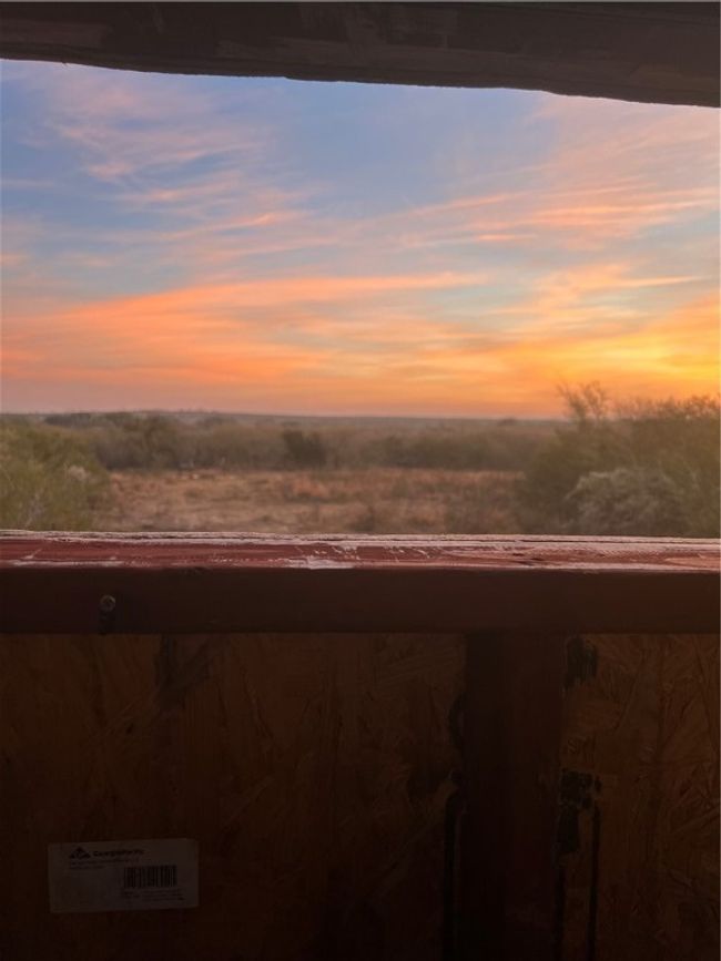 0 Blackbrush Spur, Home with 0 bedrooms, 0 bathrooms and null parking in George West TX | Image 12