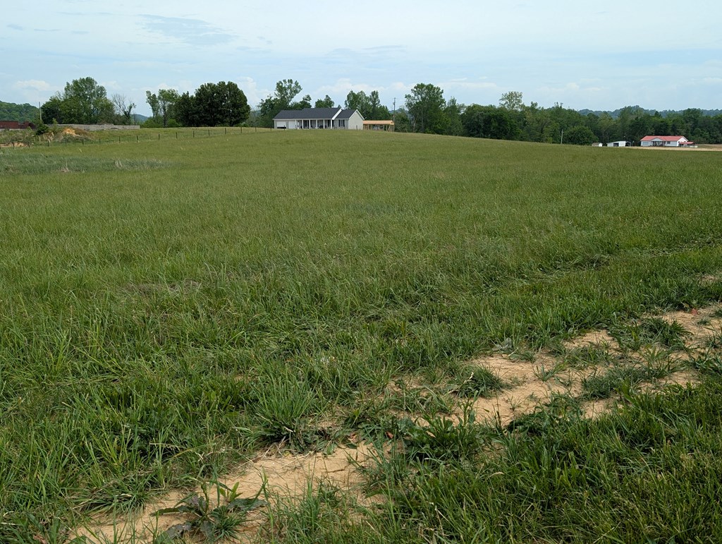 Land in Burkesville 2