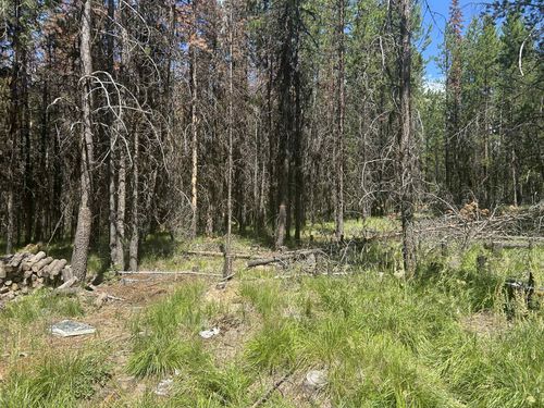 314 New Timber Ridge Trl, Marion, MT, 59925-8037 | Card Image