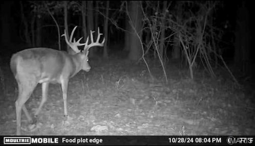 00 Highway 3, Rockwood, IL, 62280 | Card Image