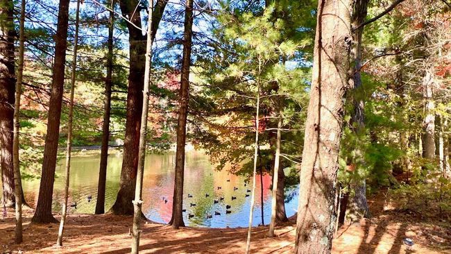 147 Cliffside Dr, Home with 0 bedrooms, 0 bathrooms and null parking in Wisconsin Dells WI | Image 17
