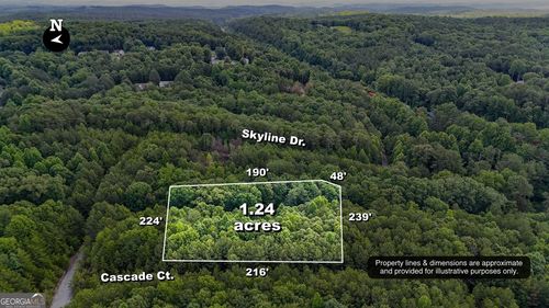 lot-47-47 Braswell Rd, Rockmart, GA, 30153-3730 | Card Image