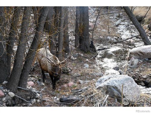 416 Black Creek Dr, Glen Haven, CO, 80532 | Card Image