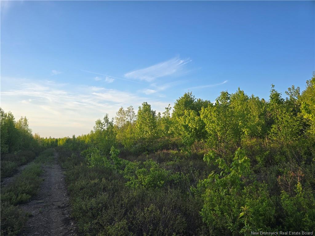 Land in Head Of Millstream 4