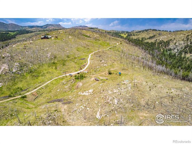 2384 Rist Creek Rd, Home with 0 bedrooms, 0 bathrooms and null parking in Bellvue CO | Image 5