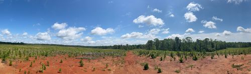300 Us Highway 378 E, Edgefield, SC, 29824-3554 | Card Image