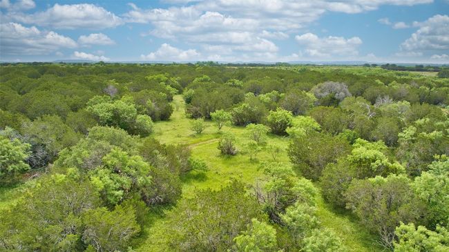 Bird's eye view of a forest | Image 9