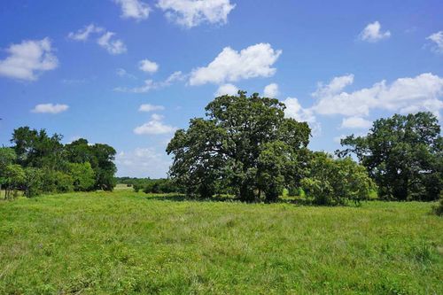 00050-county-road-419-3 Cr419, Navasota, TX, 77868 | Card Image