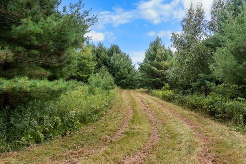 TBD County F Road, Spooner, WI, 54888 | Card Image