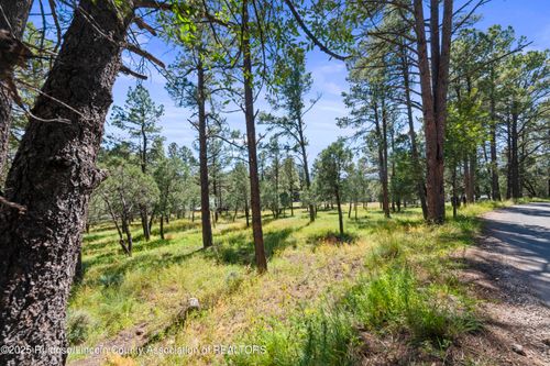 112 Course View Dr, Ruidoso, NM, 88345-6856 | Card Image