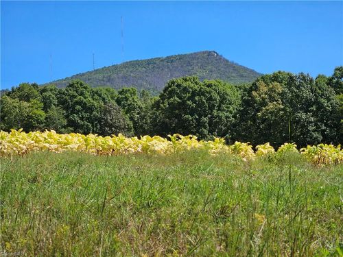 10-b-00 Old Mill Rd, Pinnacle, NC, 27043 | Card Image