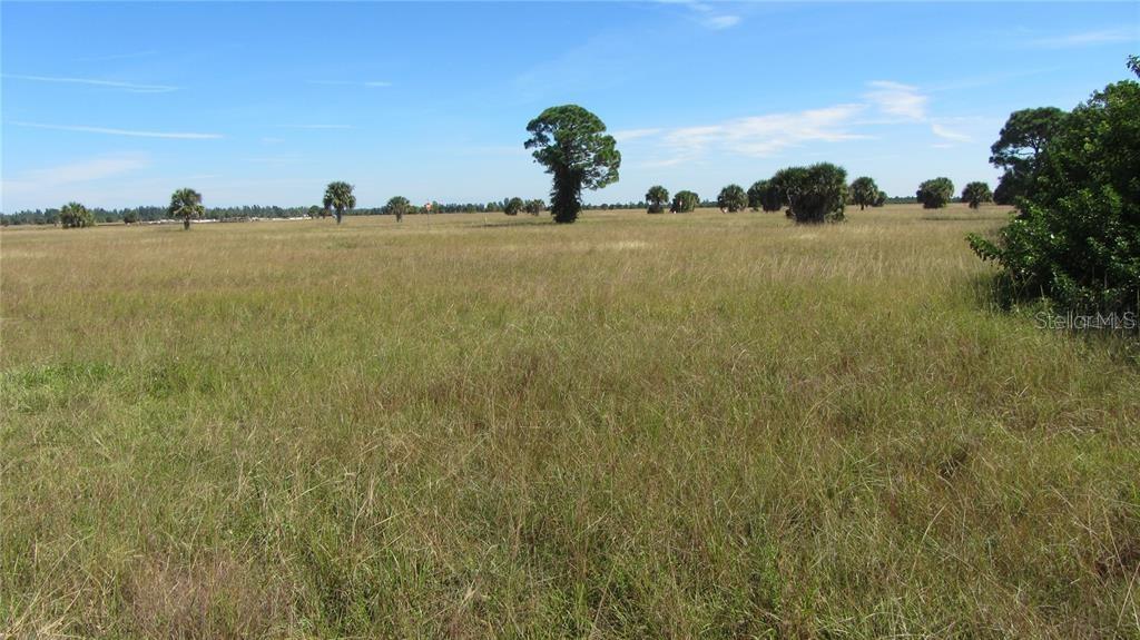 Land in PLACIDA 2