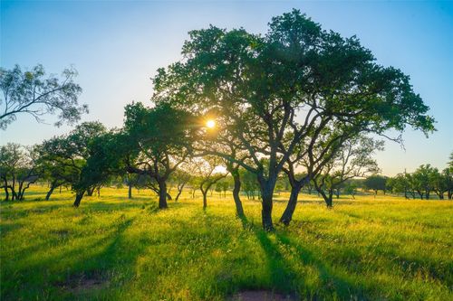 000 Rolling Oaks Ranch, Johnson City, TX, 78636 | Card Image