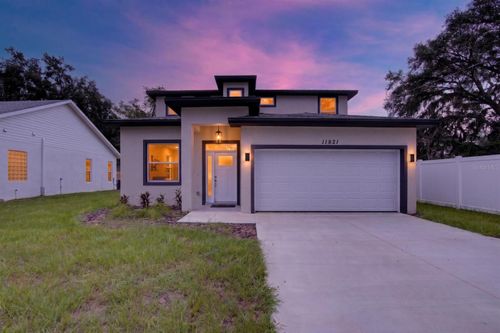 11521 Higdon Dr, THONOTOSASSA, FL, 33592-3401 | Card Image