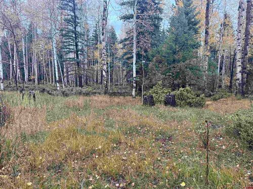 TBD Deer Park Rd, Antonito, CO, 81120 | Card Image