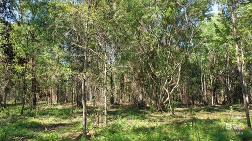 Lot 6 Harris St, Atmore, AL, 36502-1937 | Card Image