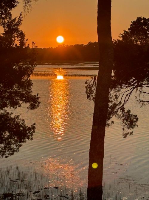 125 Jungle Rd, Edisto Island, SC, 29438-3006 | Card Image