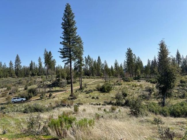 19292 Shawnee Trl, Home with 0 bedrooms, 0 bathrooms and null parking in Mokelumne Hill CA | Image 25