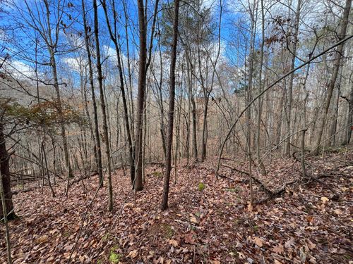 0 Smyrna Rd, Evensville, TN, 37332 | Card Image