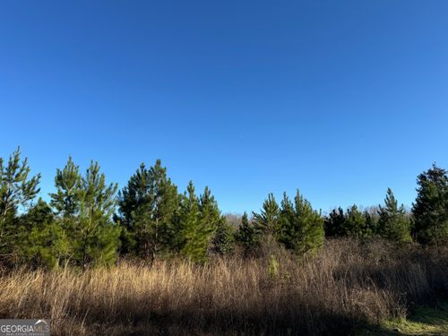 003 Sealy Wells Rd, GORDON, AL, 36343 | Card Image