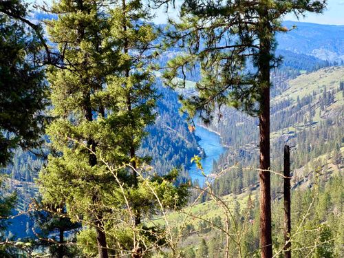 4012 Highway 11, Orofino, ID, 83544 | Card Image