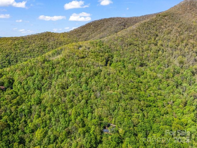 8 White Birch Ct, Home with 0 bedrooms, 0 bathrooms and null parking in Black Mountain NC | Image 15