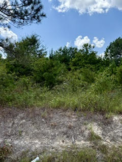 Land in Opelika 4