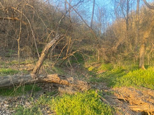 TBD D4640 Rd, Jay, OK, 74346 | Card Image