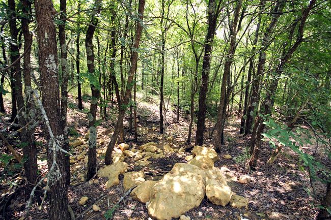 Seasonal creek area | Image 16