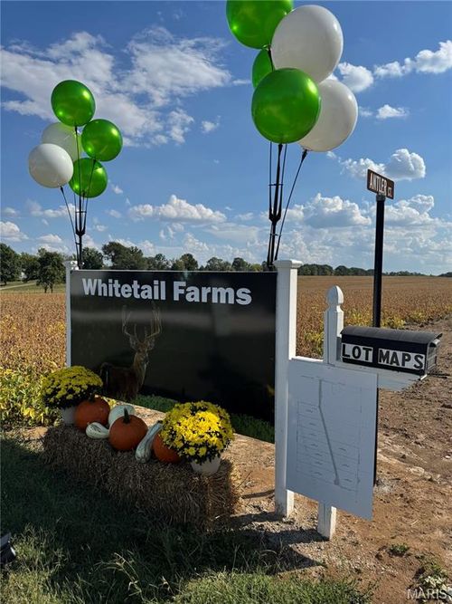 998 Josephville Rd, Wentzville, MO, 63385-3004 | Card Image