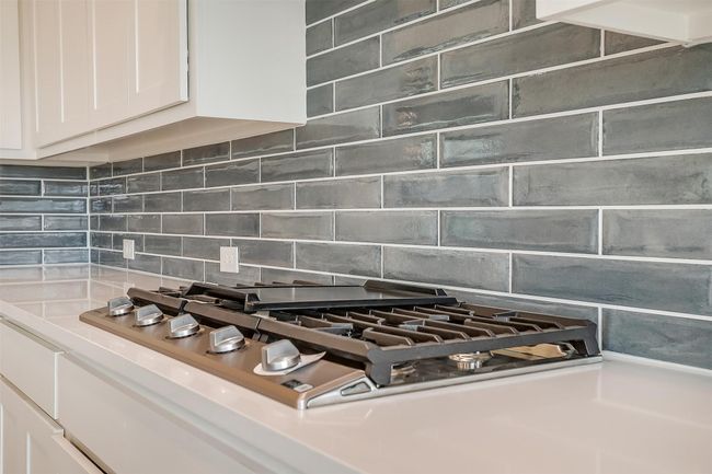 1750 Carroll Moran Trl, House other with 4 bedrooms, 4 bathrooms and null parking in Midlothian TX | Image 16