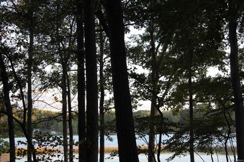 240 Lane 250 Fox Lk, Angola, IN, 46703-7938 | Card Image