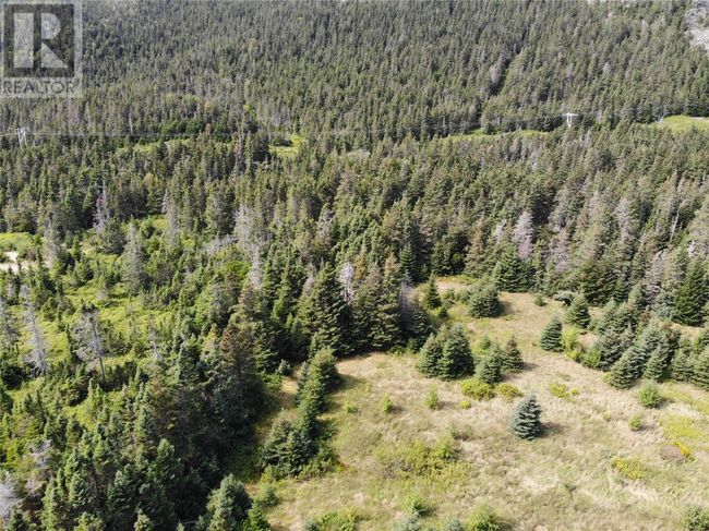 A - 136 Main Street, Home with 0 bedrooms, 0 bathrooms and null parking in Clarkes Beach NL | Image 4