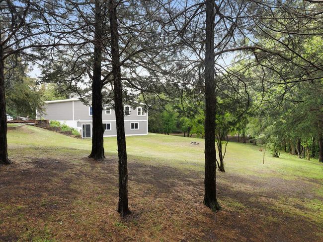 Huge yard with lots of wildlife to enjoy watching | Image 9