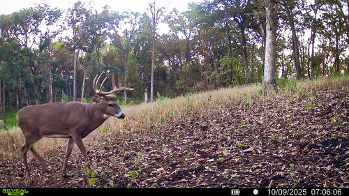 27022 Whistlers Pass Rd, Dodge, WI, 54625 | Card Image