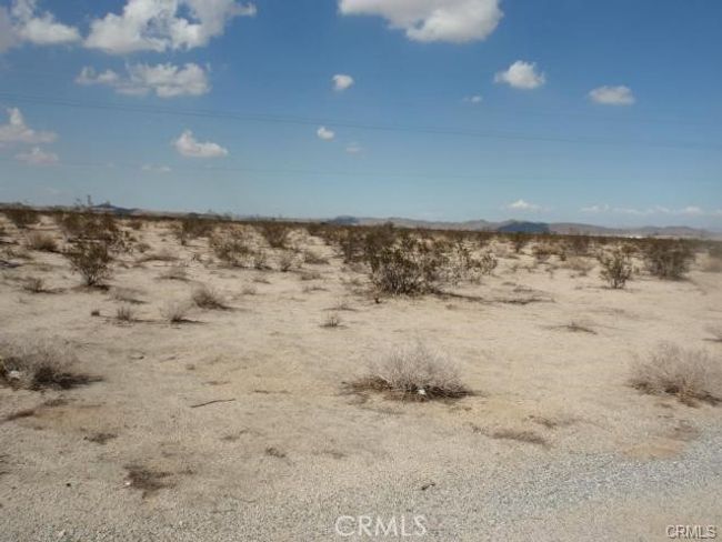 7777 29 Palms Hwy, Home with 0 bedrooms, 0 bathrooms and null parking in Joshua Tree CA | Image 5