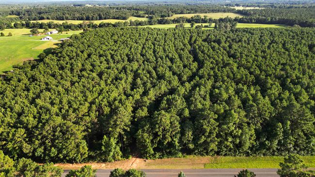 TBD 17.57 ACRES Fm 2274, Home with 1 bedrooms, 1 bathrooms and null parking in Troup TX | Image 22