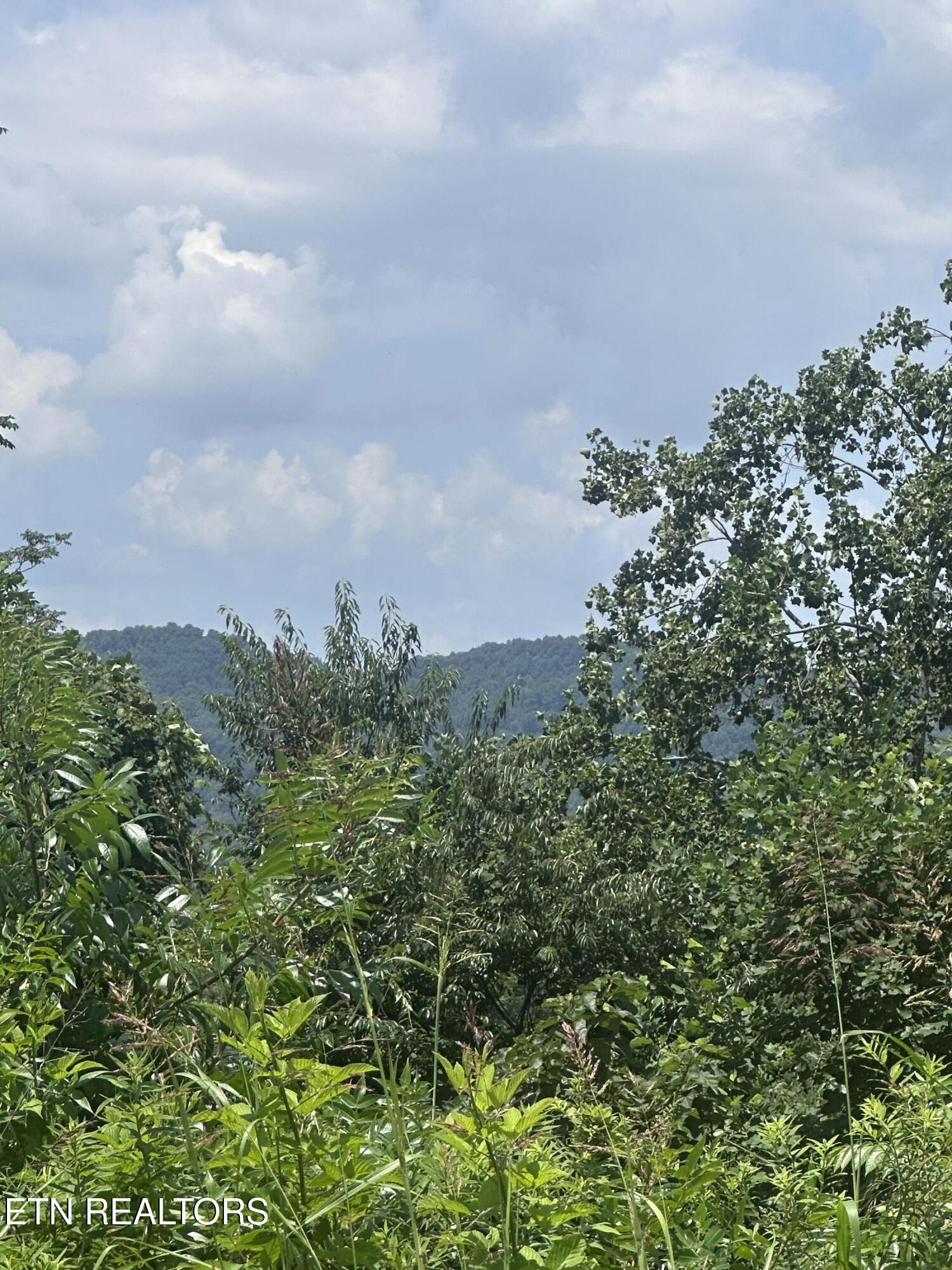 Land in Dandridge