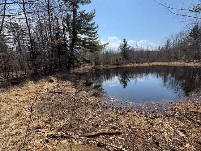 46128 Starch Rd, House other with 3 bedrooms, 1 bathrooms and null parking in Bruno MN | Image 11