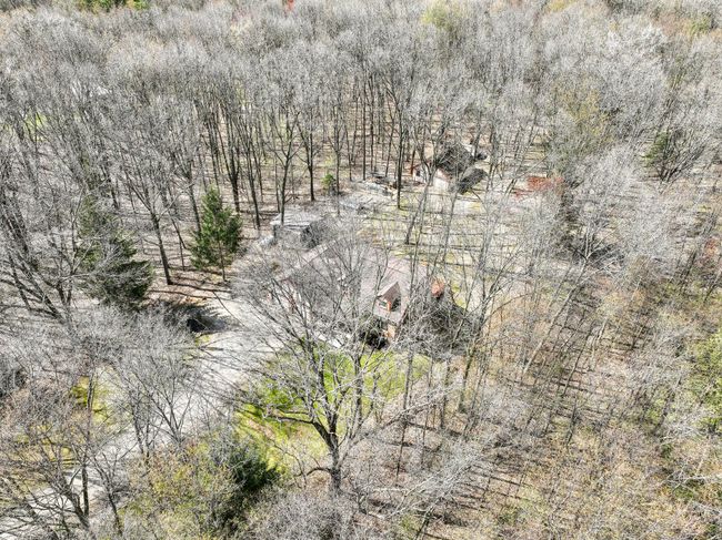 10.06 Acres of Mostly Hardwoods | Image 27